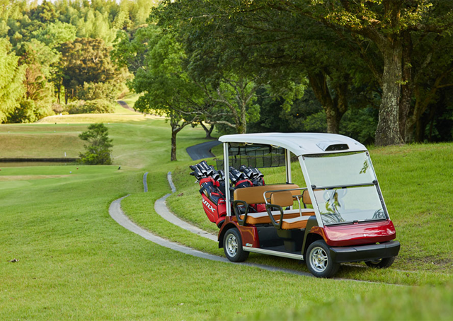 愛媛県/ゴルフカー販売・メンテナンス/利用用途